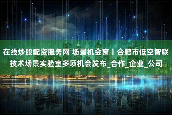 在线炒股配资服务网 场景机会窗丨合肥市低空智联技术场景实验室多项机会发布_合作_企业_公司