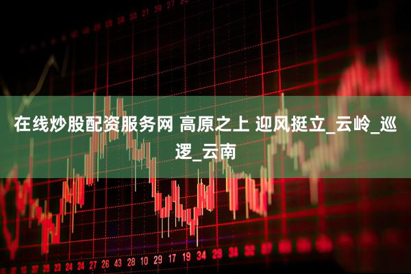 在线炒股配资服务网 高原之上 迎风挺立_云岭_巡逻_云南