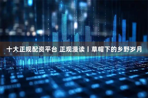十大正规配资平台 正观漫读丨草帽下的乡野岁月