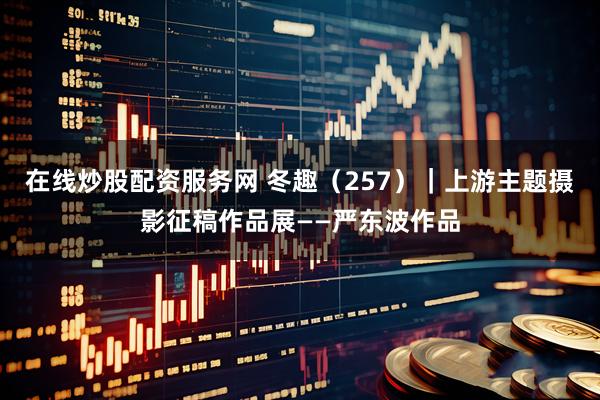 在线炒股配资服务网 冬趣（257）｜上游主题摄影征稿作品展——严东波作品