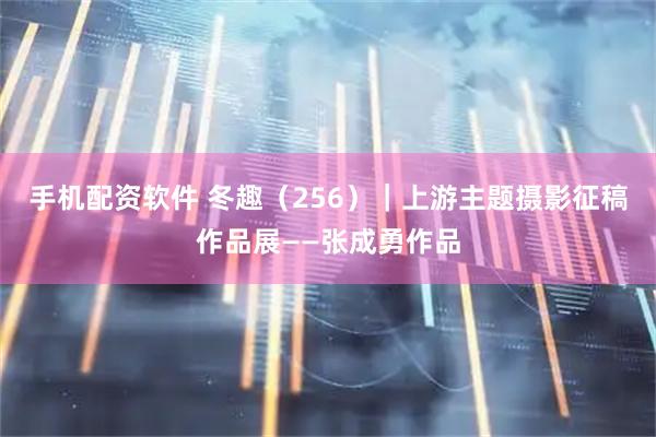 手机配资软件 冬趣（256）｜上游主题摄影征稿作品展——张成勇作品