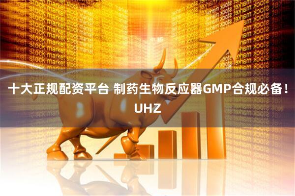 十大正规配资平台 制药生物反应器GMP合规必备！UHZ