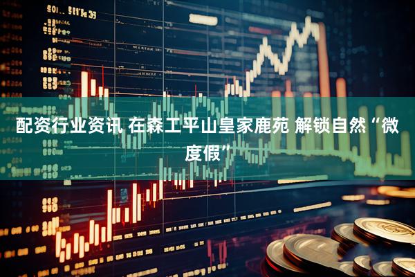 配资行业资讯 在森工平山皇家鹿苑 解锁自然“微度假”